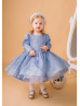 Long Sleeves Blue Glitter V Back Flower Girl Dress